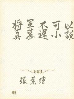 将军不可以魏云真慕迟小说笔趣阁