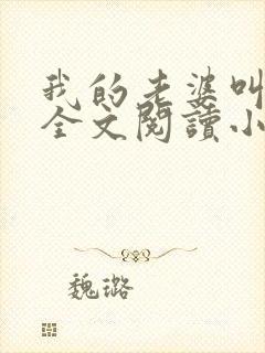 我的老婆叫武艳全文阅读小说