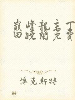 巅峰龙主丁长顺田晓兰免费阅读封面