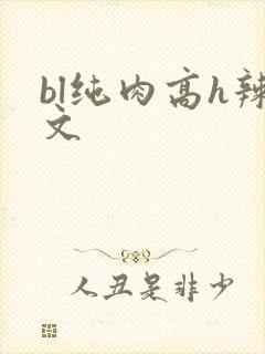 bl纯肉高h辣文