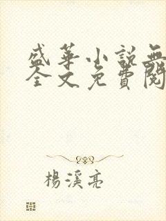 盛华小说无弹窗全文免费阅读