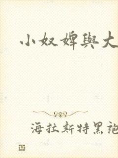 小奴婢与大少爷