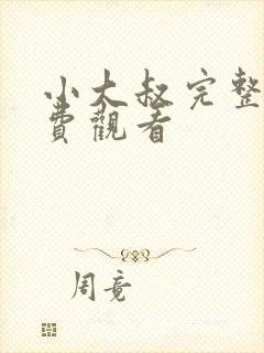 小大叔完整版免费观看封面