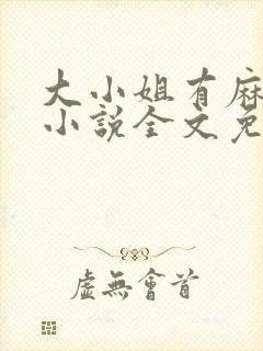 大小姐有麻烦了小说全文免费阅读边澈封面