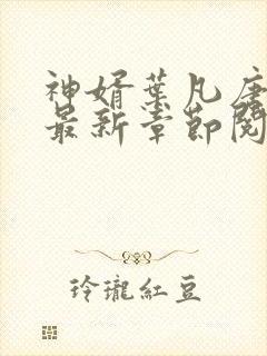 神婿叶凡唐若雪最新章节阅读封面