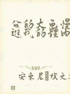 公的大龟慢慢挺进我的体内