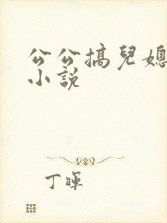 公公搞儿媳妇的小说封面
