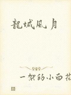 龙城风月封面