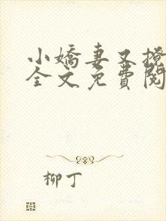 小娇妻又撩又甜全文免费阅读