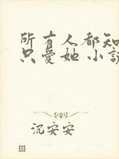 所有人都知道你只爱她 小说