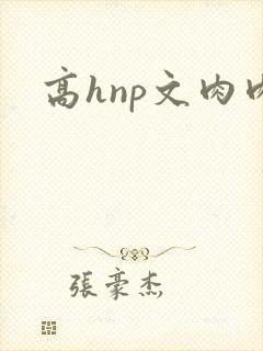 高hnp文肉肉封面
