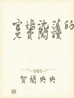 官场沈荡的小说免费阅读