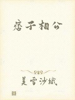 痞子相公