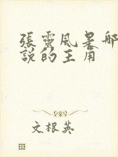 张灵风是哪本小说的主角