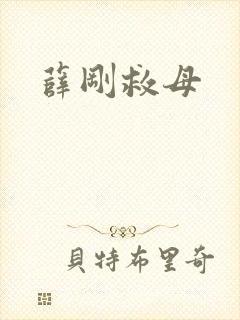 薛刚救母