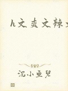 h文爽文辣文