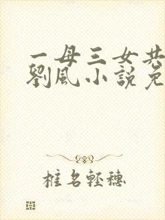 一母三女共一婿刘风小说免费阅读