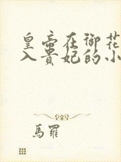 皇帝在御花园进入贵妃的小说