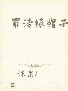 罗浩绿帽子
