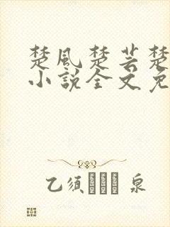 楚风楚芸楚鸿飞小说全文免费阅读