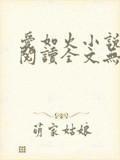 爱如火小说免费阅读全文无弹窗