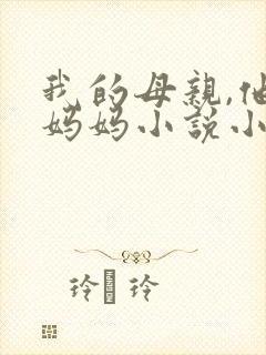 我的母亲,他的妈妈小说小辉小浩小说封面