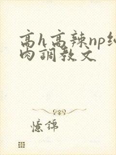 高h高辣np纯肉调教文