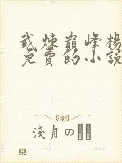 武炼巅峰杨开全免费的小说