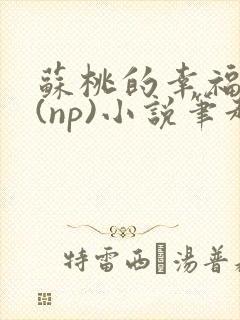 苏桃的幸福生活(np)小说笔趣阁沐沐
