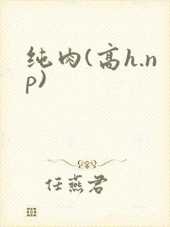 纯肉(高h.np)