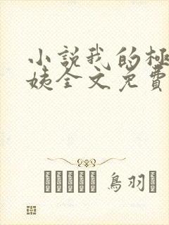 小说我的极品小姨全文免费阅读封面