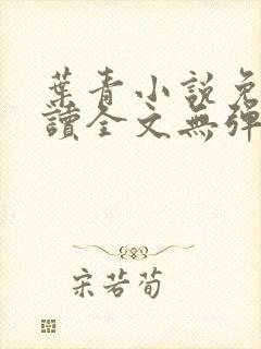 叶青小说免费阅读全文无弹窗