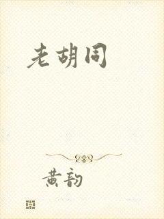 老胡同
