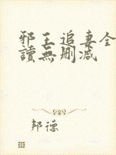 邪王追妻全文阅读无删减