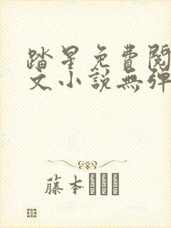 踏星免费阅读全文小说无弹窗封面