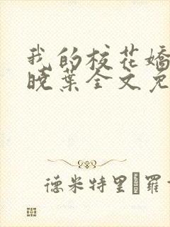 我的校花娇妻秦晓叶全文免费阅读