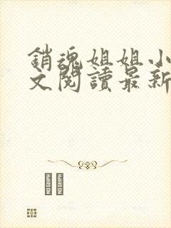 销魂姐姐小说全文阅读最新章节列表