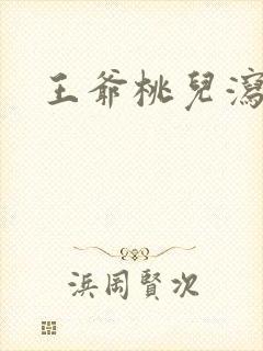 王爷桃儿泻了封面