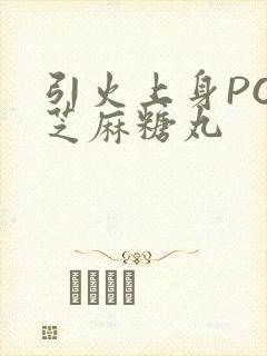 引火上身POP芝麻糖丸