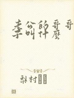 老公的哥哥的儿子叫什么