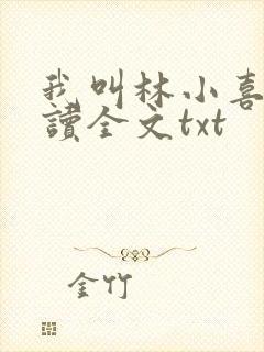 我叫林小喜全阅读全文txt