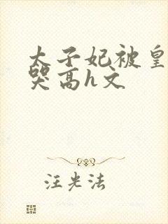 太子妃被皇上c哭高h文封面