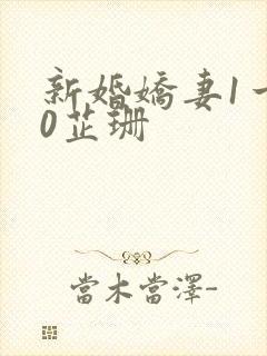 新婚娇妻1一40芷珊