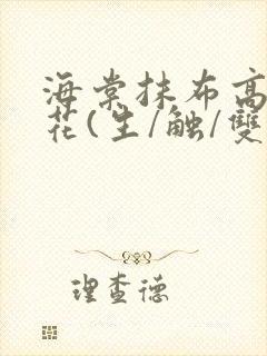 海棠抹布高岭之花(生/触/双)
