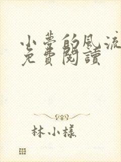 小梦的风流人生免费阅读