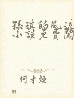 孙琪的风流人生小说免费阅读