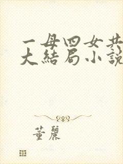 一母四女共一婿大结局小说免费阅读封面
