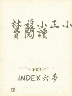 林媛小正小说免费阅读
