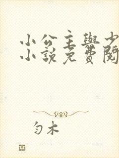 小公主与少将军小说免费阅读