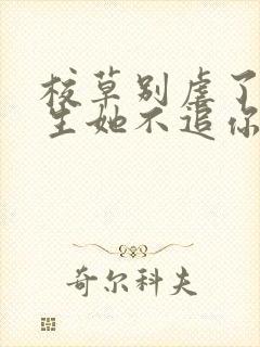 校草别虐了,重生她不追你了封面